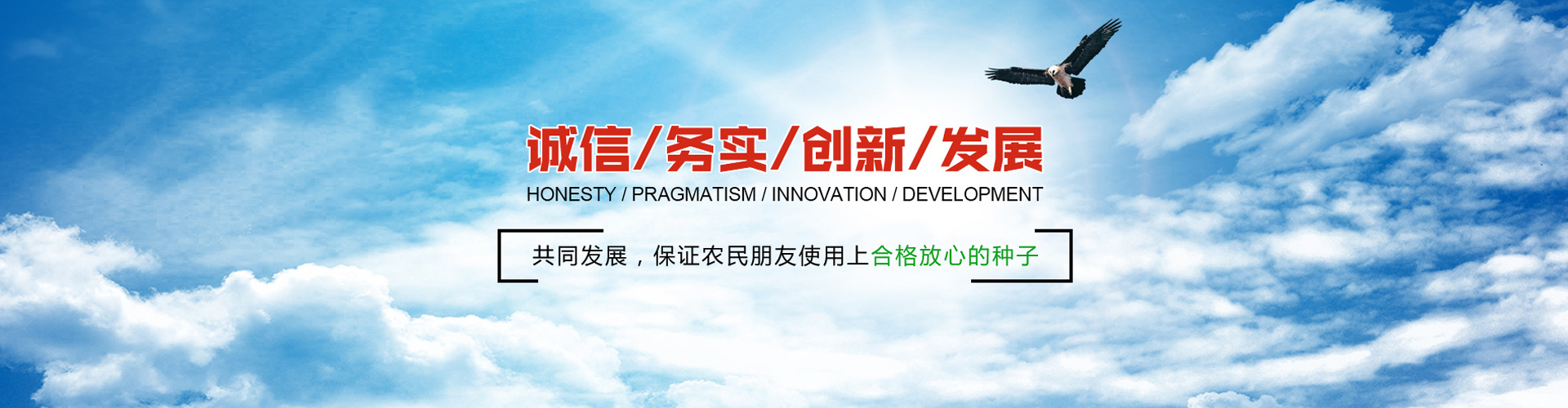 轮播图片三
