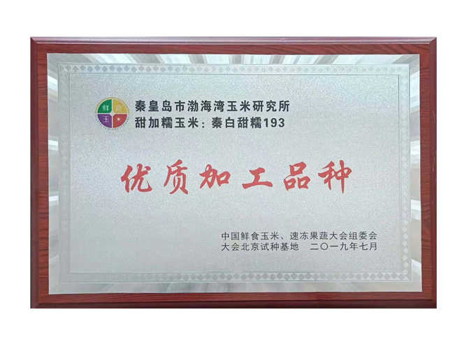 荣誉证书