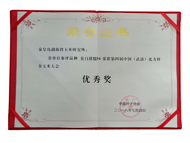 荣誉证书