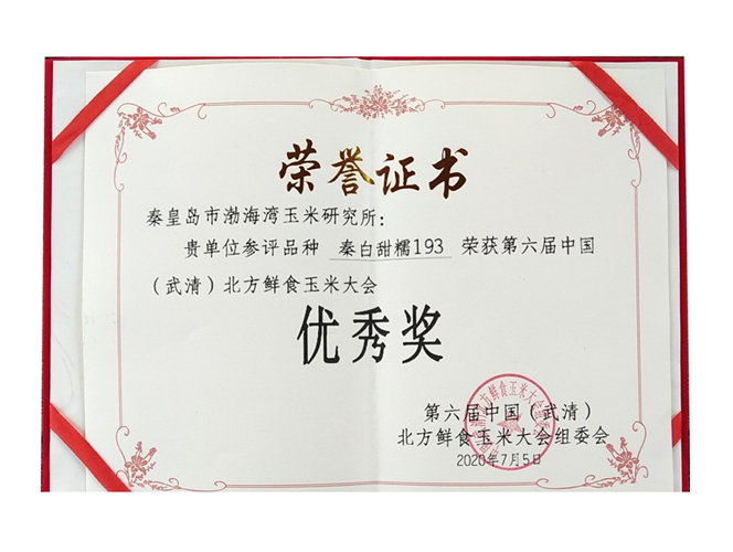 荣誉证书