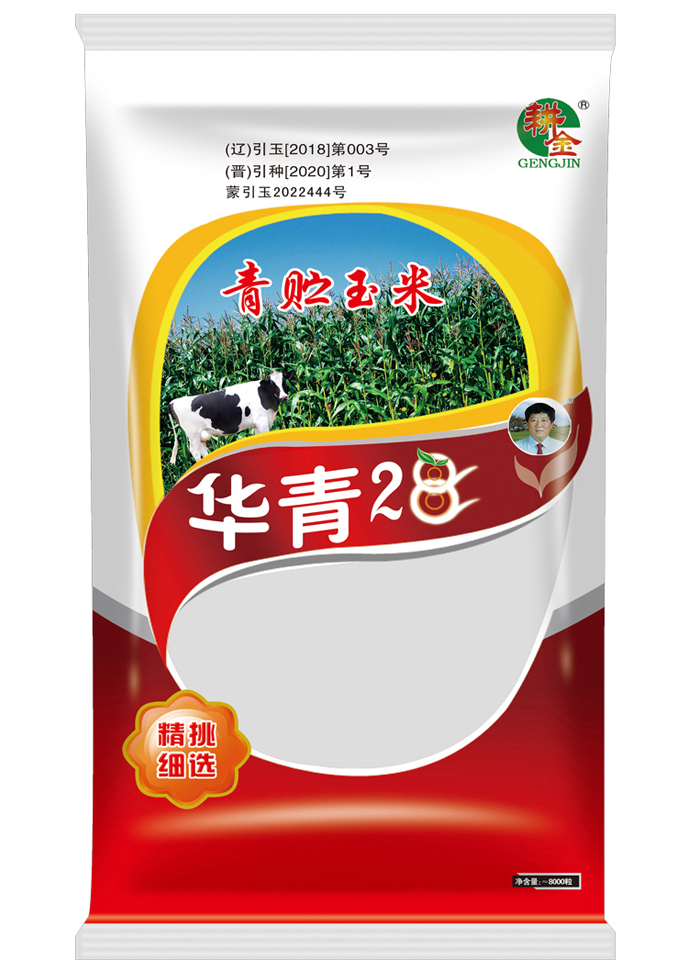 华青28