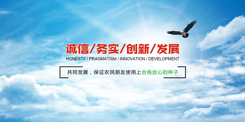 轮播图片三