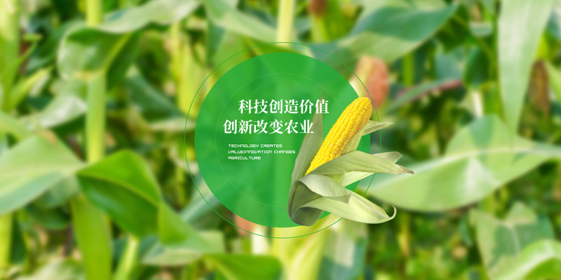 轮播图片一