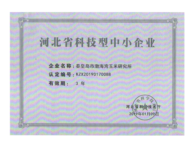 荣誉证书