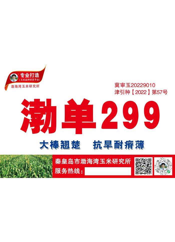 渤单299