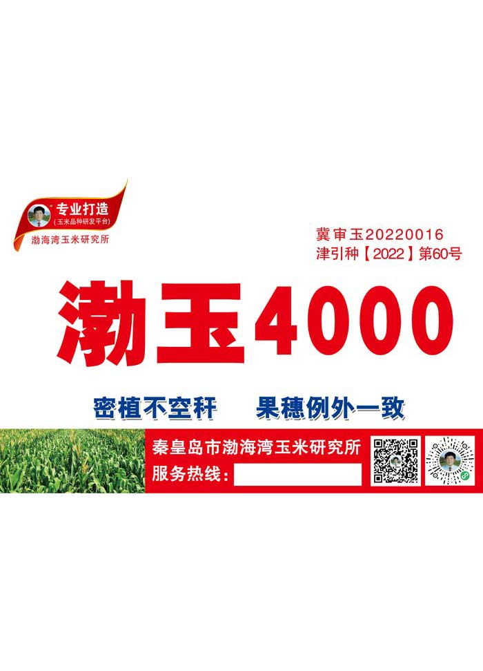 渤玉400