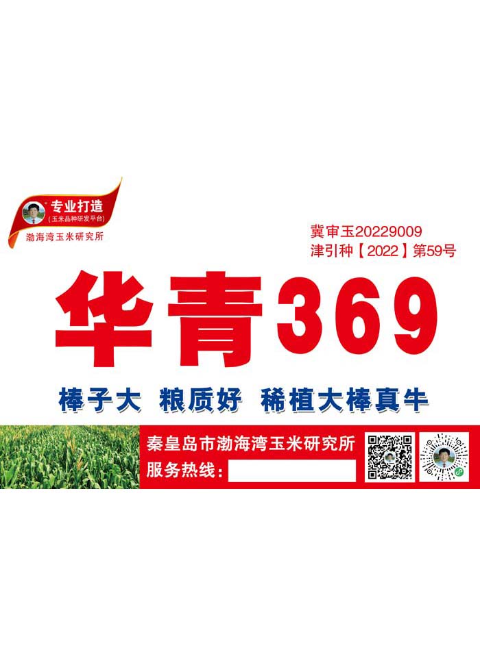 华青369