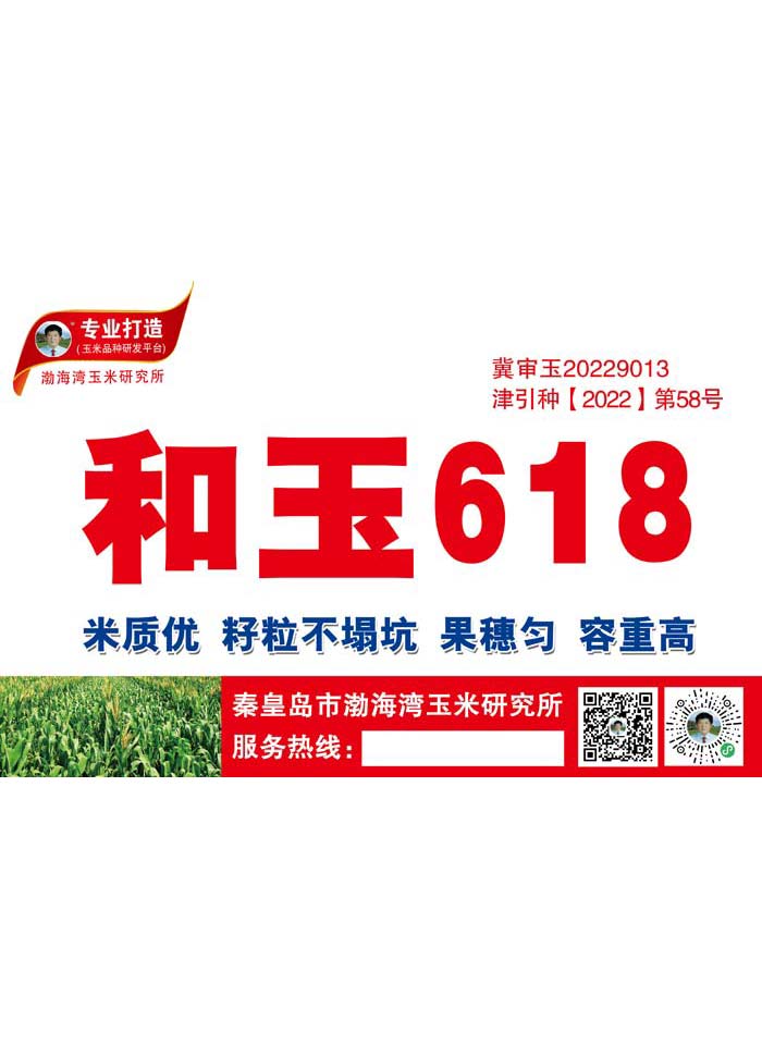 和玉618