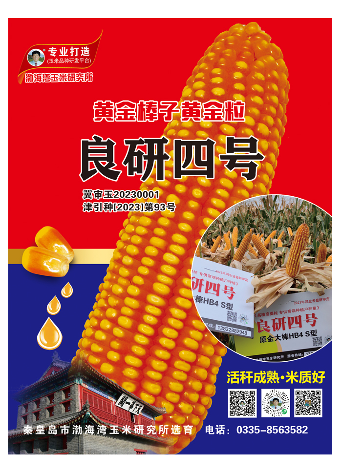 良研四号