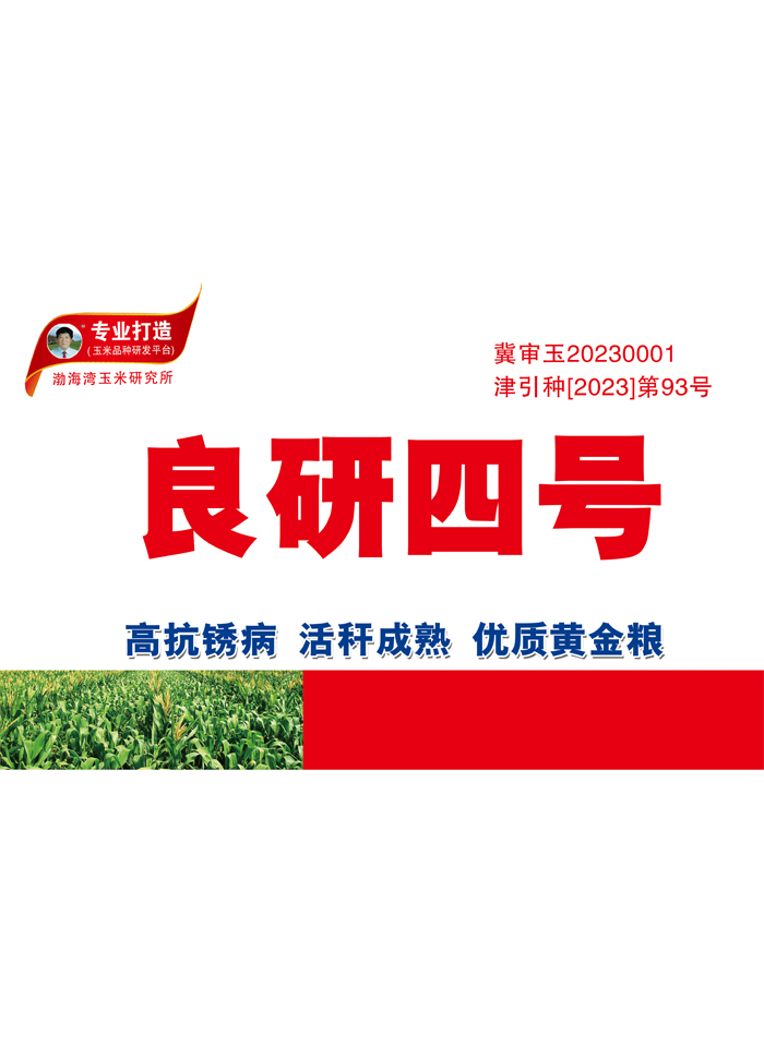 良研四号
