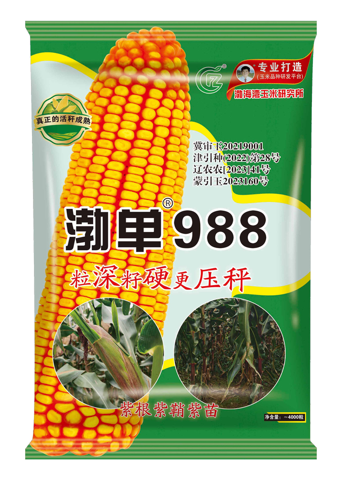 渤单988