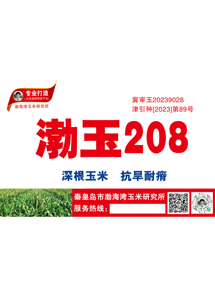 渤玉208
