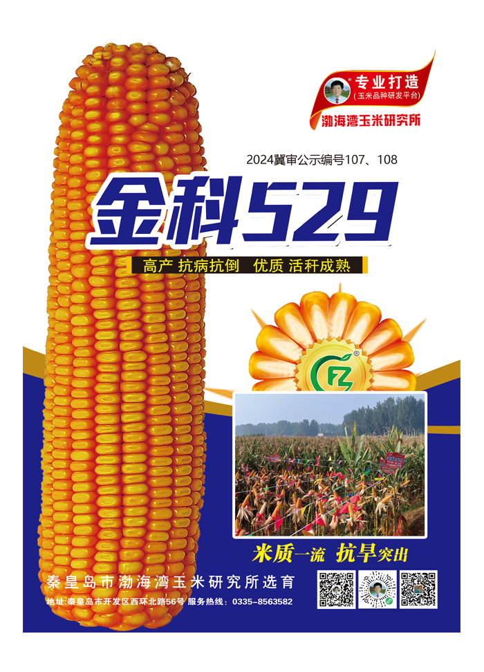 金科529