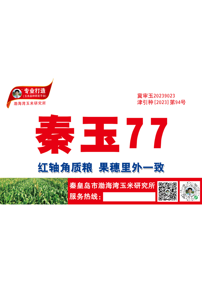 秦玉77