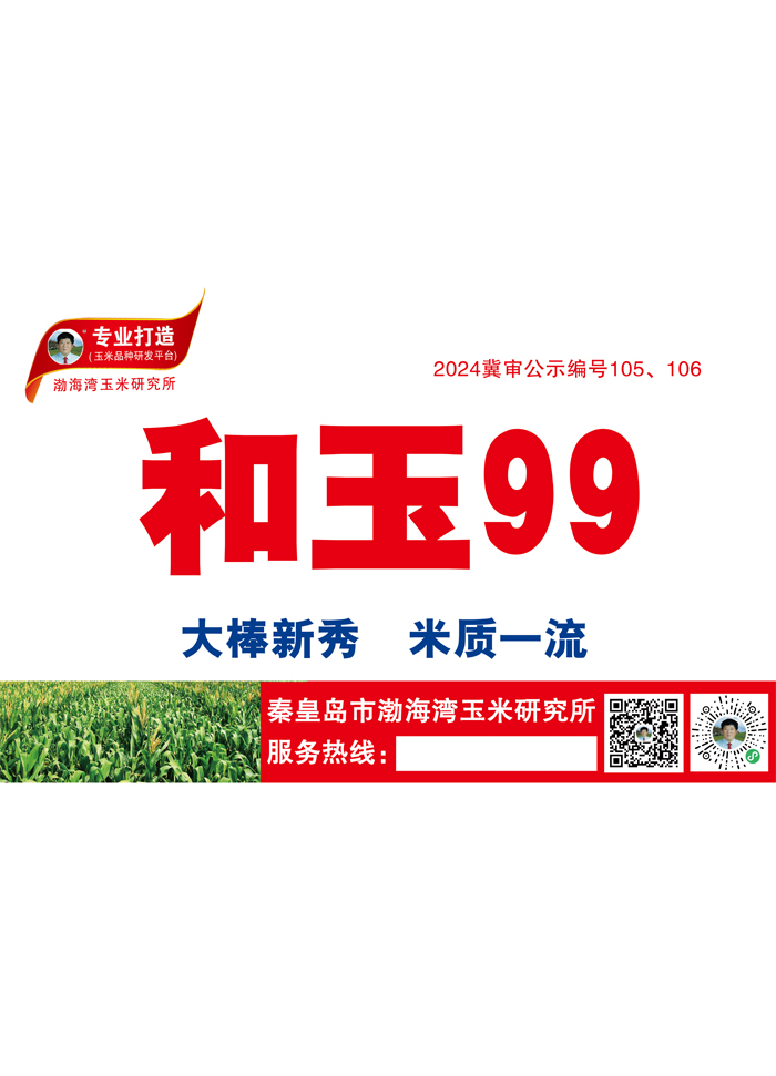 和玉99