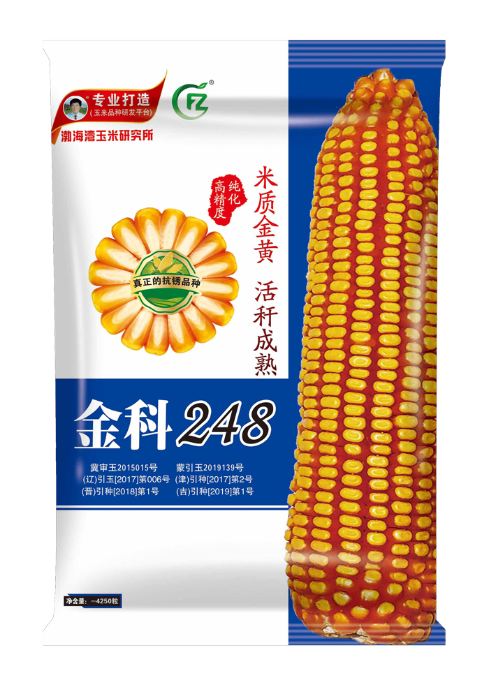 金科248