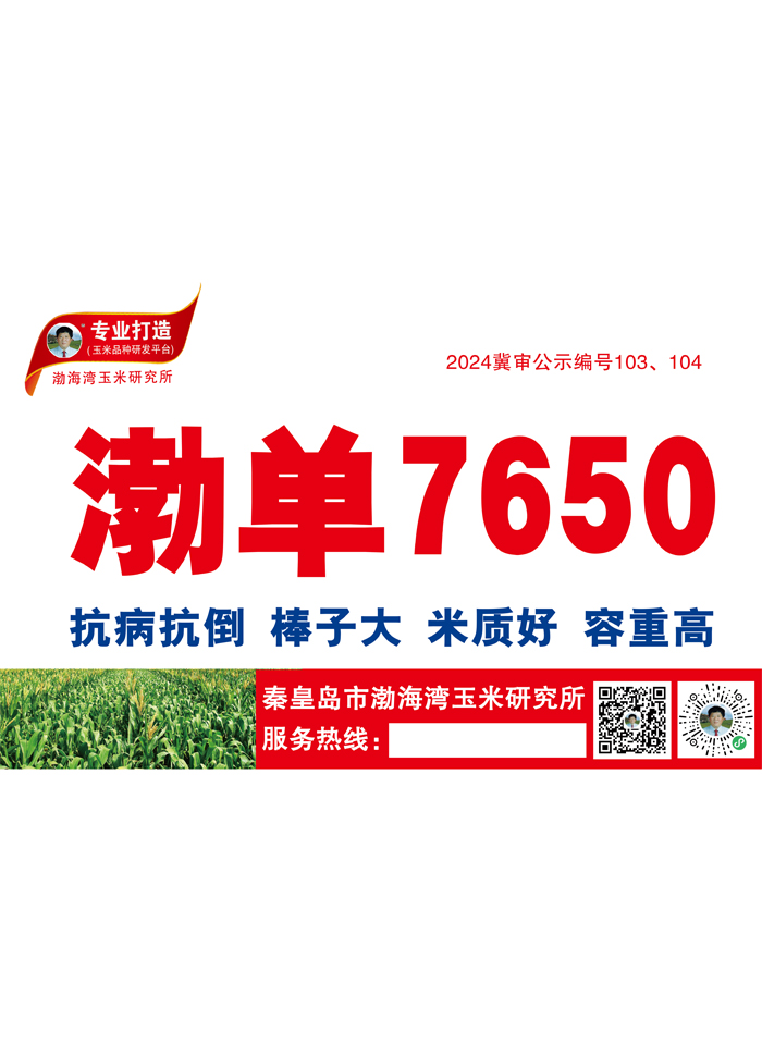 渤单7650