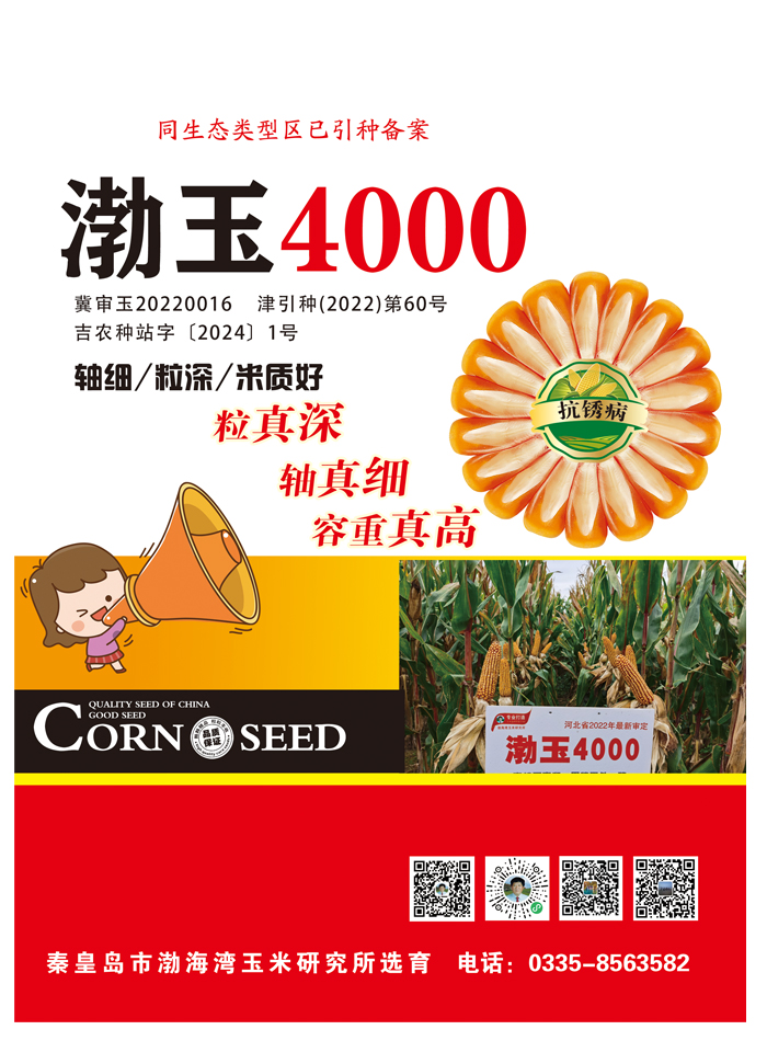 渤玉400
