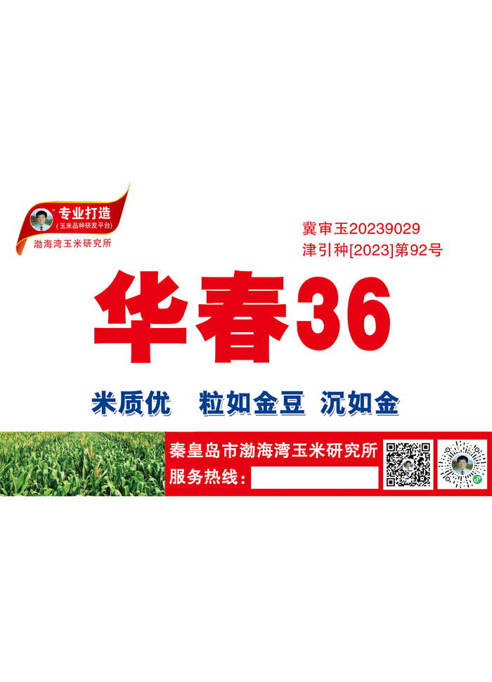华春36